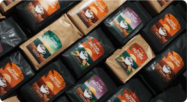 Imagen de proyecto 04